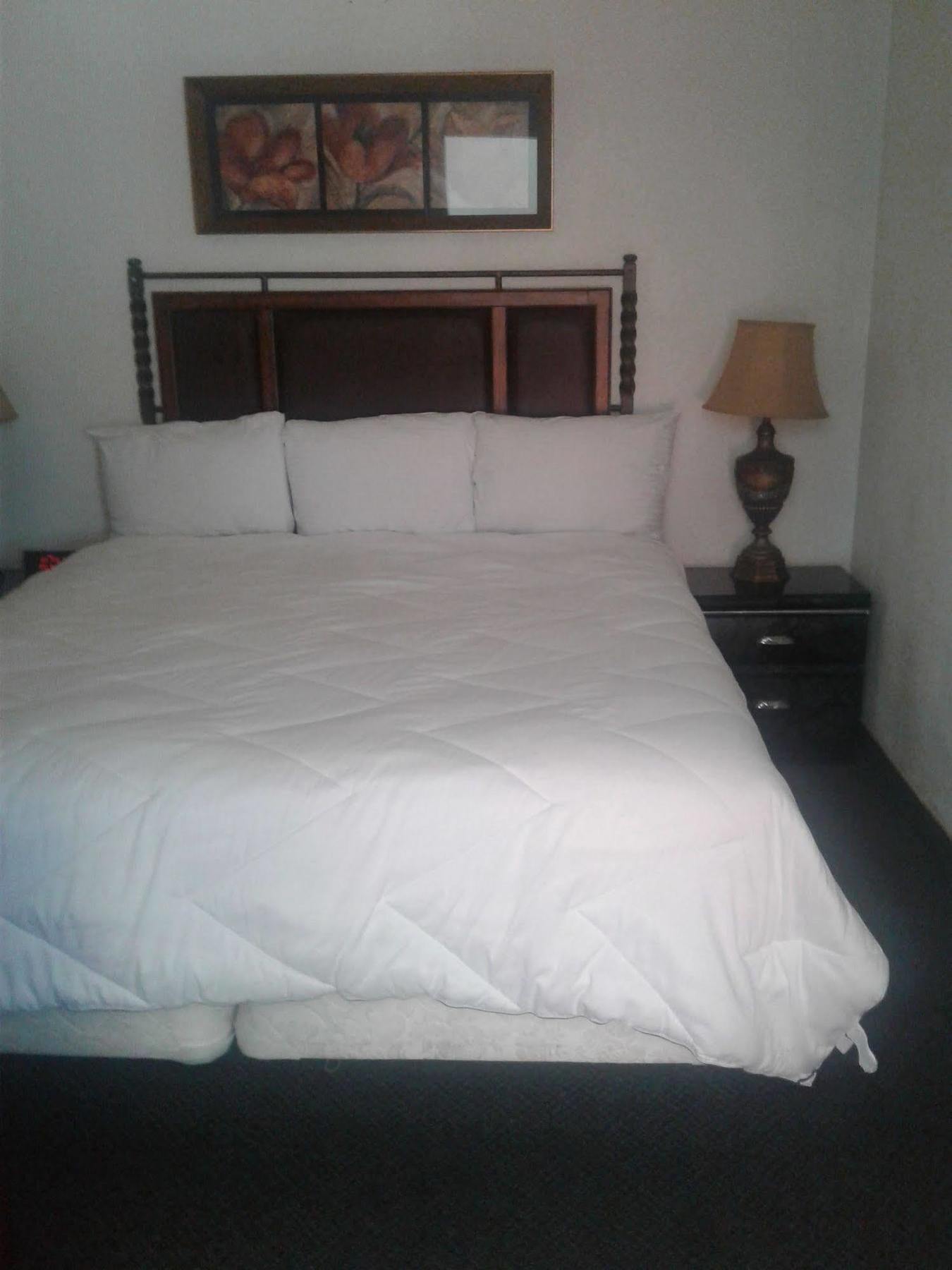 רינו Desert Rose Inn מראה חיצוני תמונה